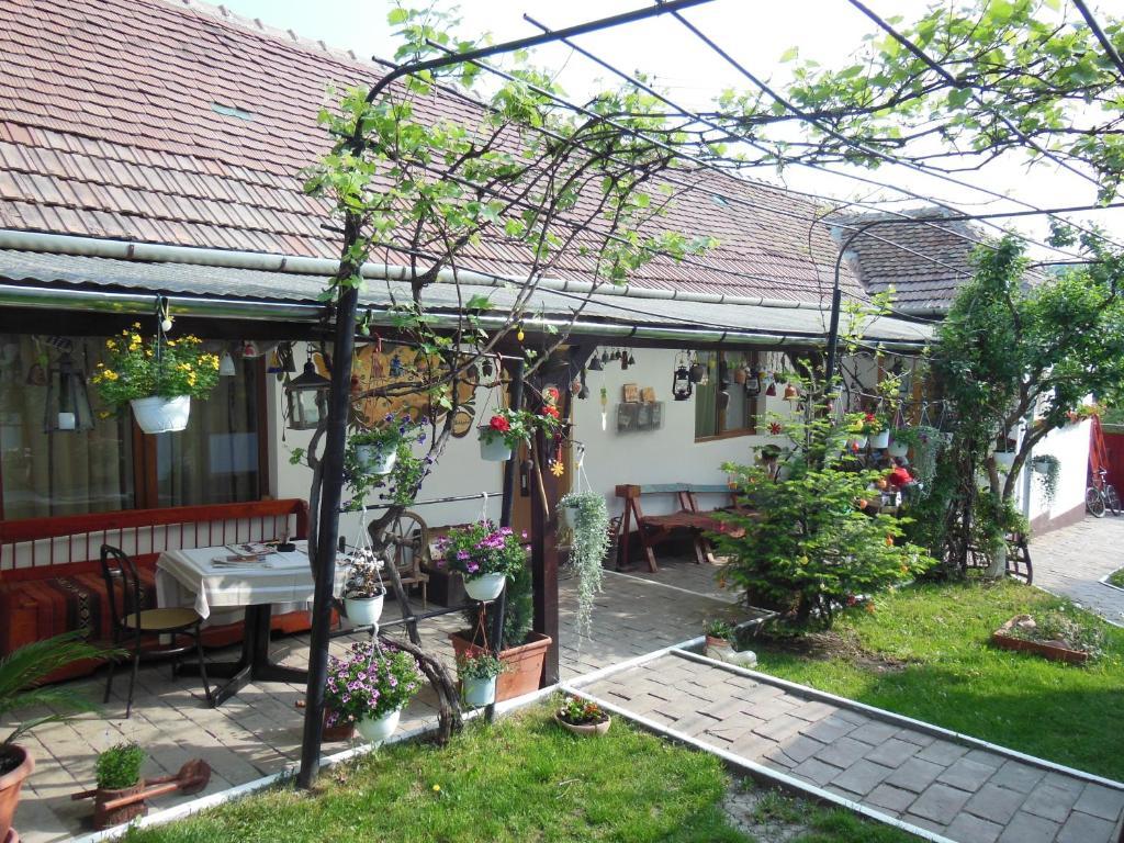 Pension Bassen Bazna Esterno foto